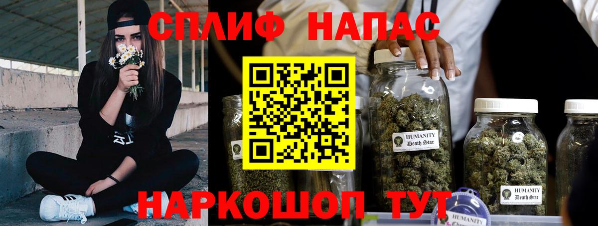 Бошки Шишки план Можайск